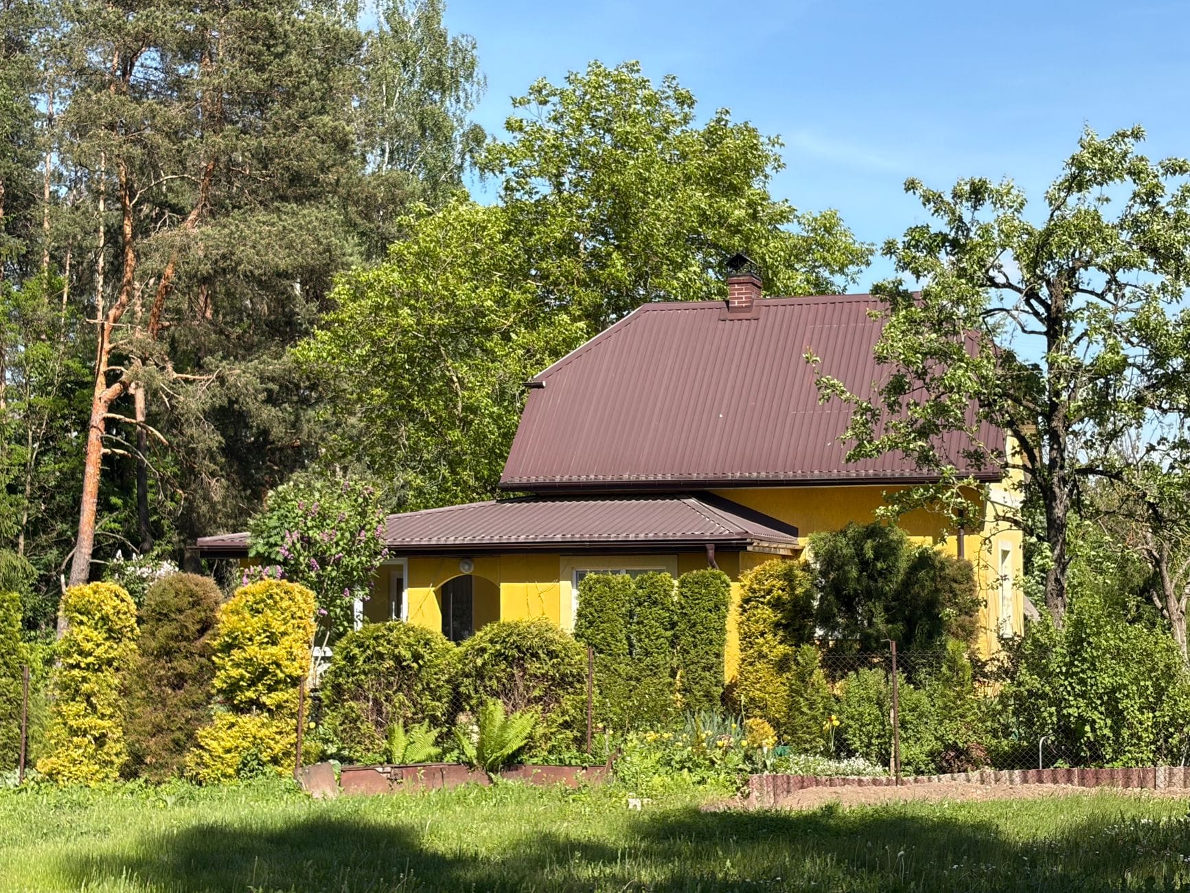 Żółty domek otoczony zielenią pod błękitnym niebem Żółty domek otoczony zielenią pod błękitnym niebem